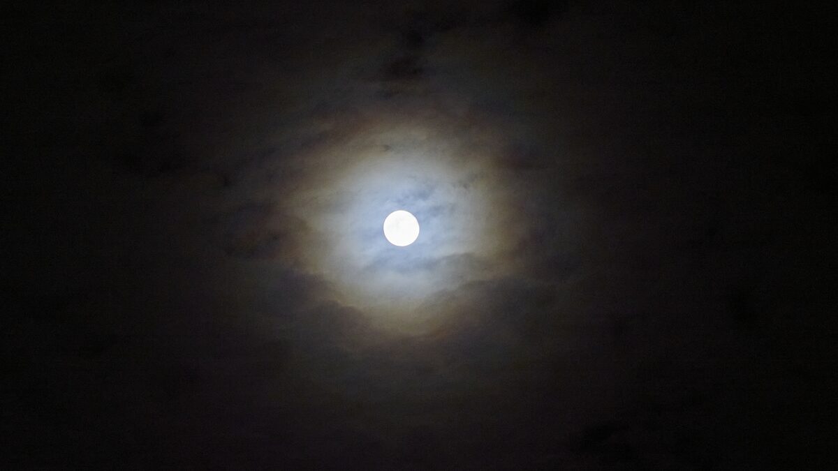 Corona