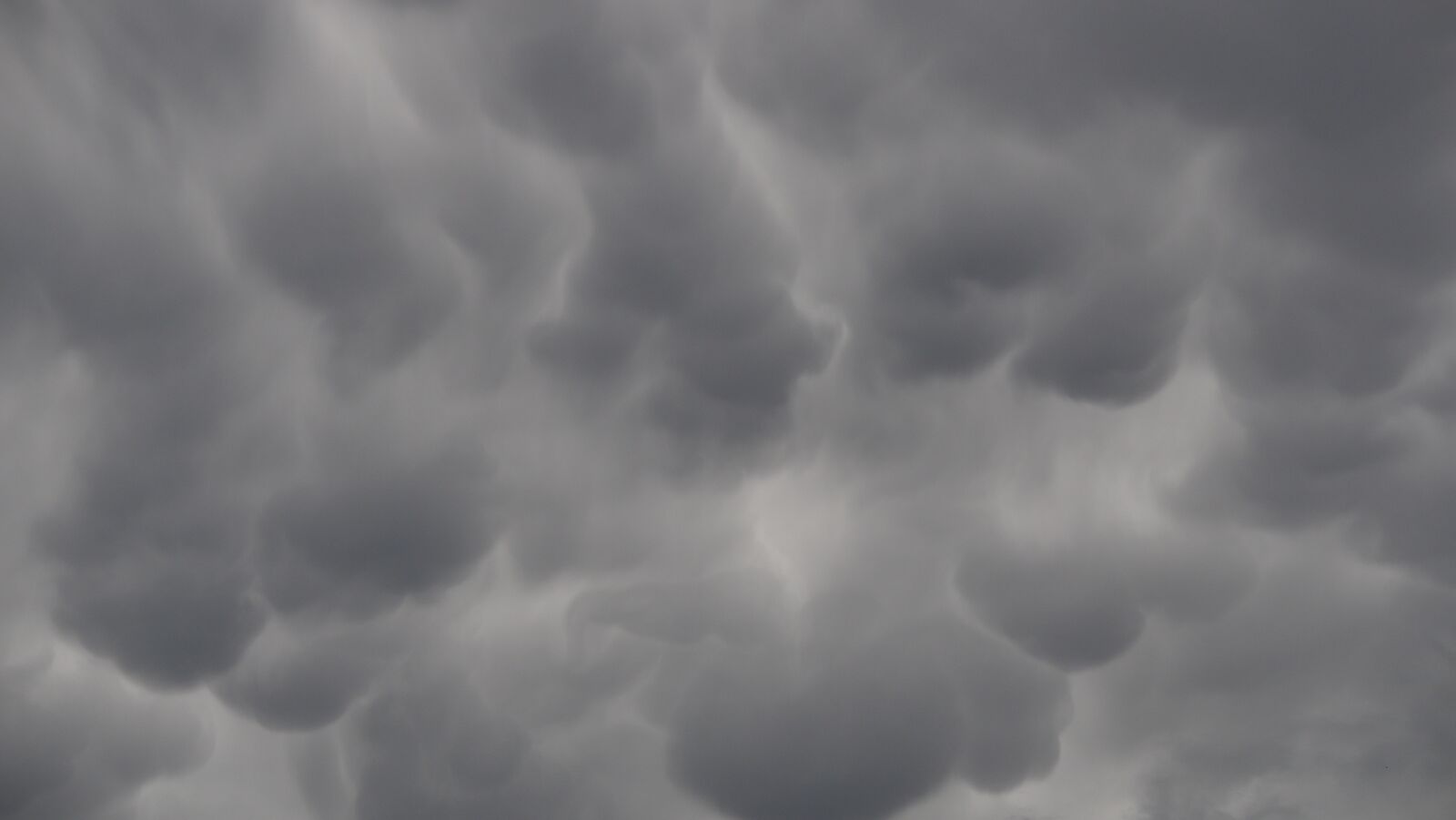 Mammatus, photograph 1